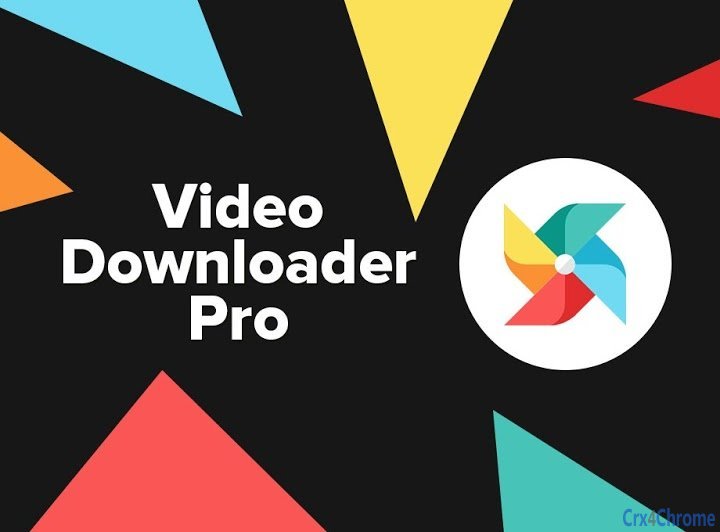 Video downloader professional